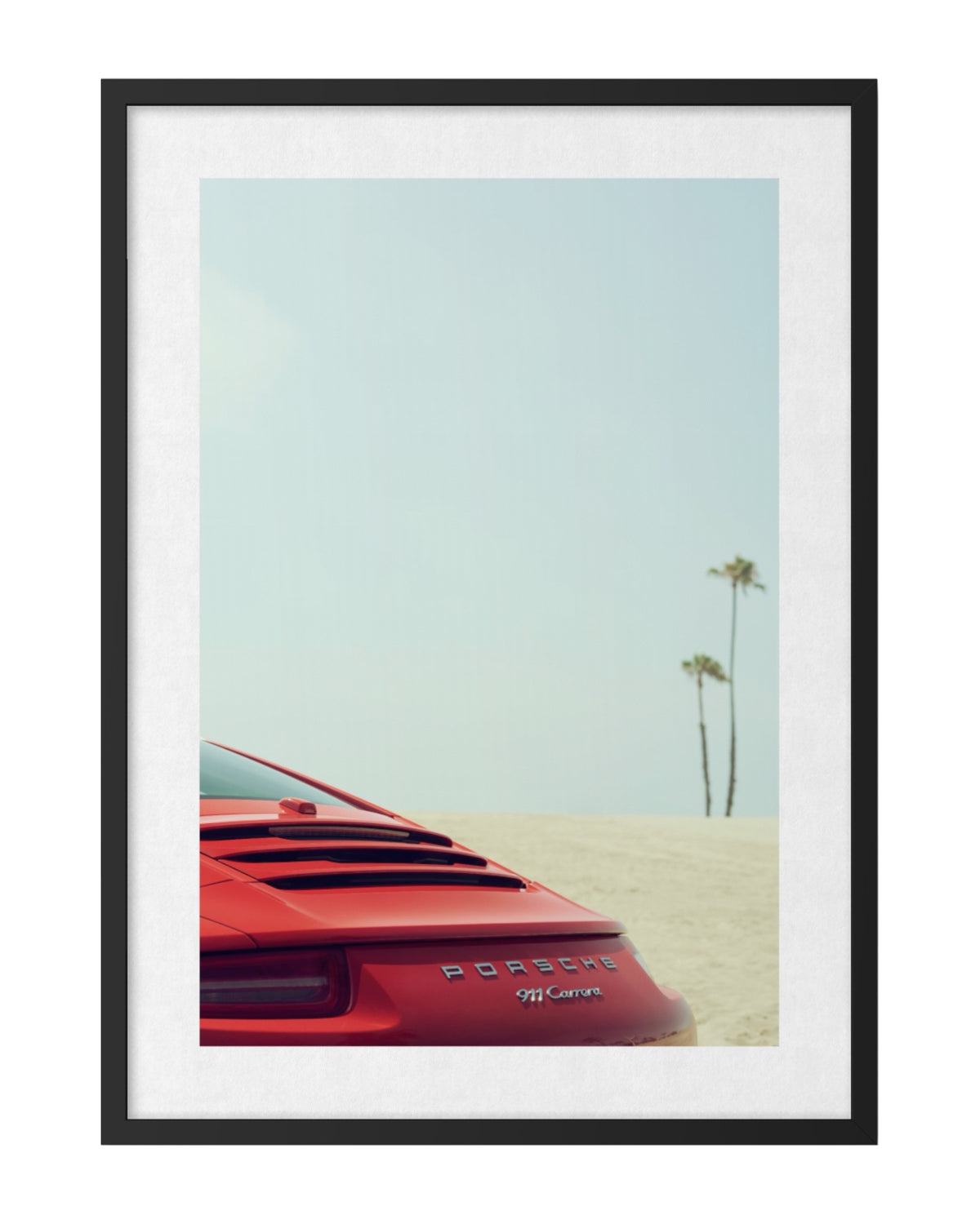 P Car. & Palms